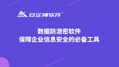 數(shù)據(jù)防泄密軟件 構筑企業(yè)信息安全防線的核心技術