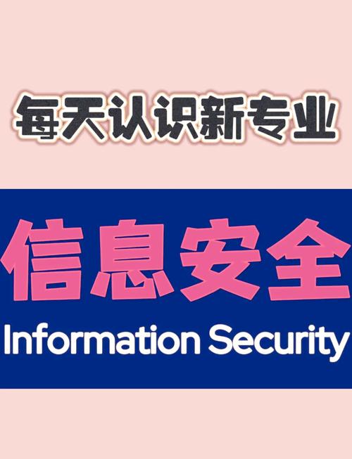 守護數字世界 網絡與信息安全軟件的開發實踐與未來挑戰